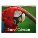 Search for parrot calendars Bird