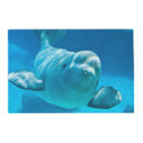 Search for beluga whale gifts Adorable