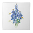 Search for texas star tiles Lone star state