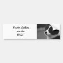 Search for border collie bumper stickers Pup