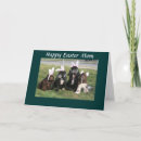 Search for funny co worker holiday cards Veterinarian