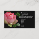 Search for lily business cards nature