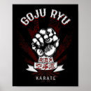 Search for karate posters Daniel larusso