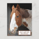 Search for horse postcards Farm animals