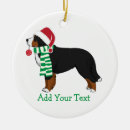 Search for bernese mountain dog ornaments Santa
