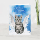 Search for tabby cat rainbow bridge Cats