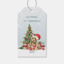 Search for teddy bear gift tags Baby