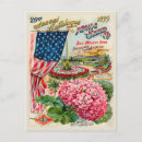 Search for flower seeds postcards Vintage