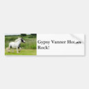 Search for gypsy vanner horse Equine