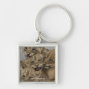 Search for cheetah keychains Cute animals