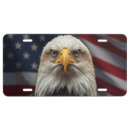 Search for bald eagle license plates Bird of prey