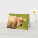 Search for cow get well cards Country
