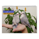 Search for parrot calendars Avian