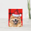 Search for chow chow christmas cards Chows