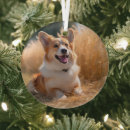 Search for dog mom ornaments Keepsake