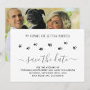 Search for dog wedding save the dates Fur baby