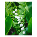 Search for lily of the valley gifts Photography