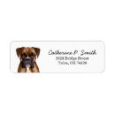 Search for boxer return address labels Dog