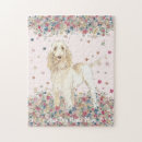 Search for spinone italiano Italian wire haired pointer