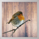 Search for bird posters Abstract