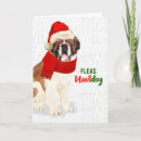 Search for st bernard christmas cards Animals