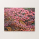 Search for fall foliage puzzles Red