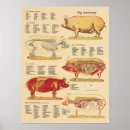 Search for farm posters Pig