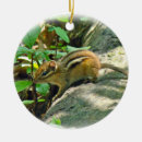 Search for squirrel ornaments Wildlife