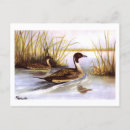 Search for 1920s postcards Vintage