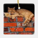 Search for brick ornaments Red