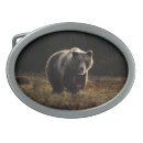 Search for bear belt buckles Wildlife