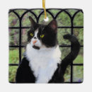Search for tuxedo cat ornaments Black and white cat