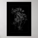 Search for white border posters Flower