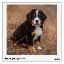 Search for vertical wall decals Color image