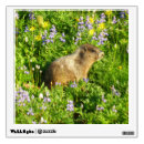 Search for wildflower wall decals Nature