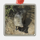 Search for wildlife ornaments Animal