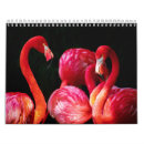 Search for flamingo calendars Cute