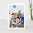 Search for dog hanukkah cards Dreidel