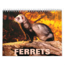 Search for ferret gifts photography