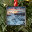 Search for carmel california ornaments Pacific ocean