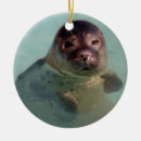 Search for sea lion ornaments Animal