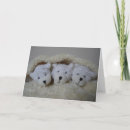 Search for triplet birth announcement cards Babies