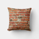 Search for brick red pillows Background