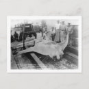 Search for florida manatee postcards States