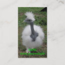 Search for fuzzy business cards Chickens