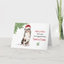 Search for australian shepherd christmas cards Dogs