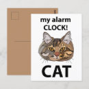 Search for funny cat sayings cards For her