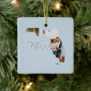 Search for miami ornaments Sunshine state