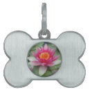 Search for the lily pet tags Lilies