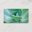 Search for southwest business cards Succulent
